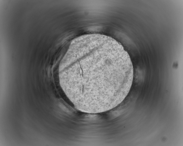 X0000100950428200807221125