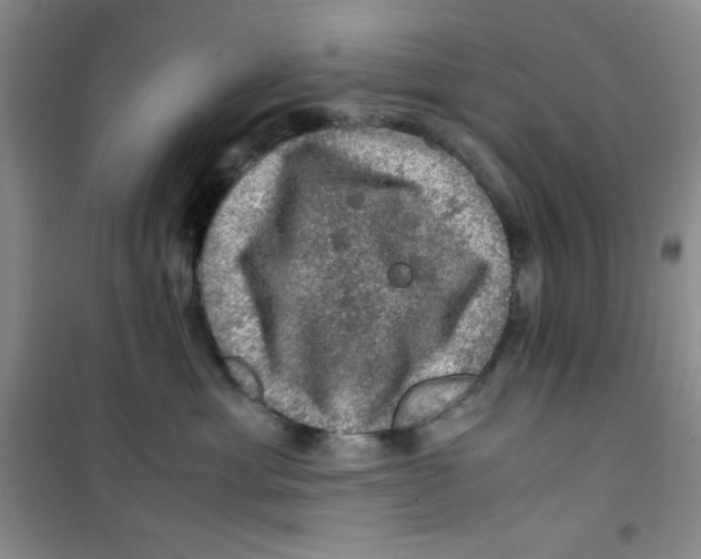 X0000100950429200807221125