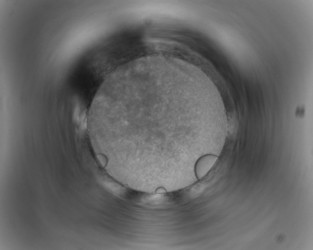 X0000100950431200807221125