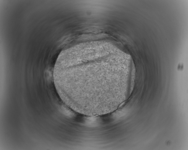 X0000100950432200807221125