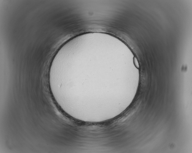 X0000100950433200807221125