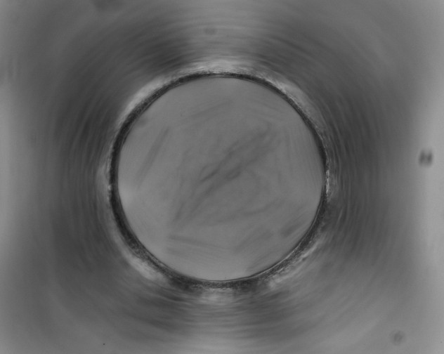 X0000100950438200807221125