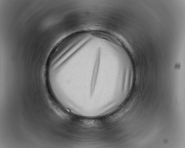 X0000100950439200807221125