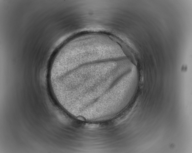 X0000100950440200807221125