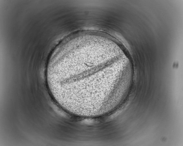 X0000100950441200807221125