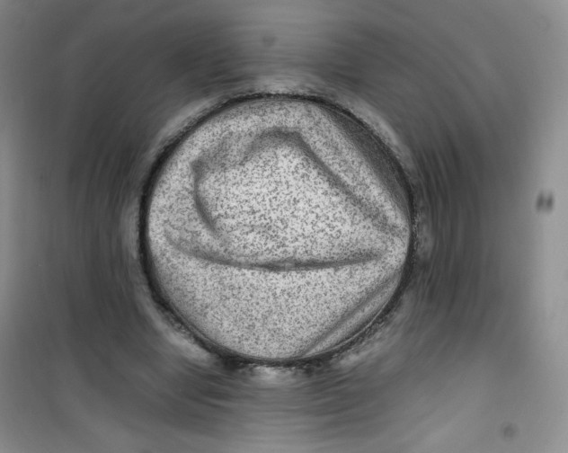 X0000100950442200807221125