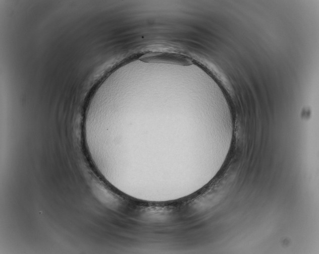 X0000100950445200807221125