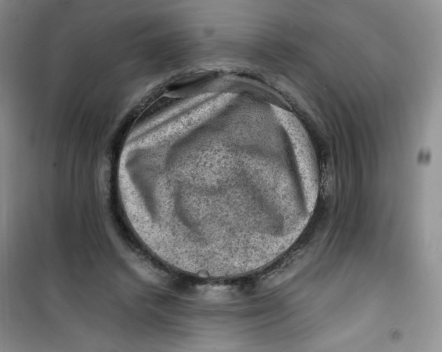 X0000100950448200807221125