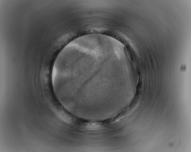 X0000100950451200807221125