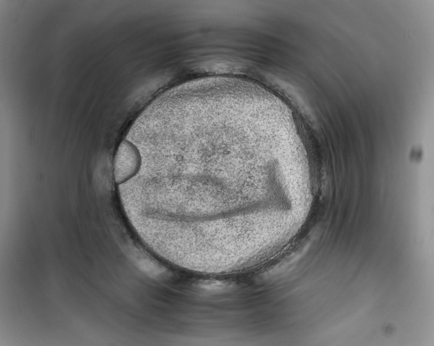 X0000100950453200807221125