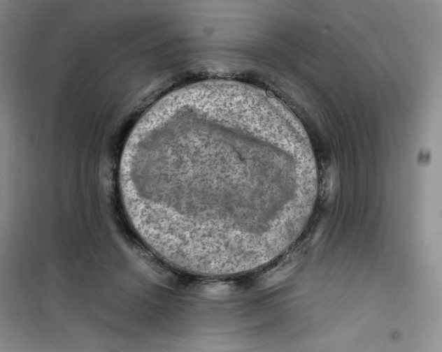 X0000100950456200807221125