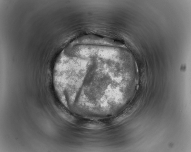 X0000100950459200807221125