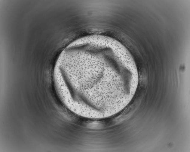 X0000100950460200807221125