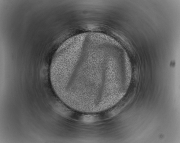 X0000100950461200807221125