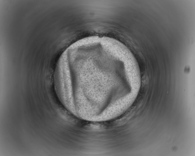 X0000100950464200807221125