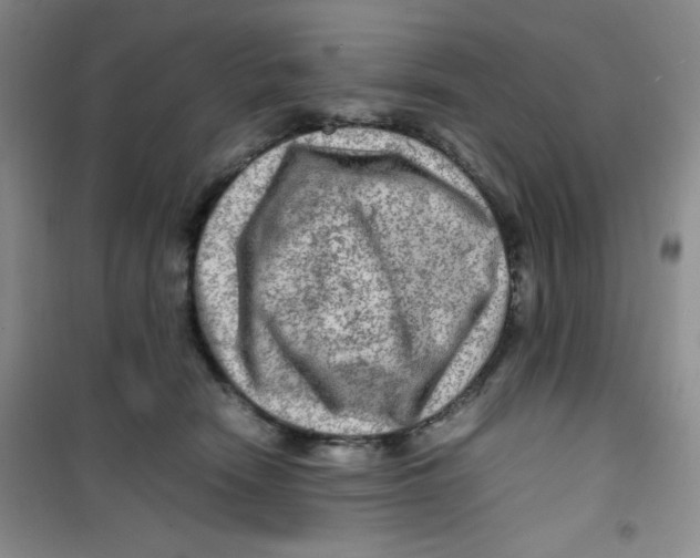 X0000100950466200807221125