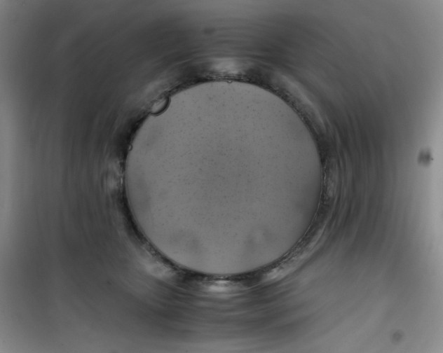 X0000100950467200807221125