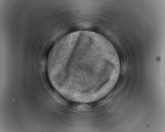 X0000100950468200807221125