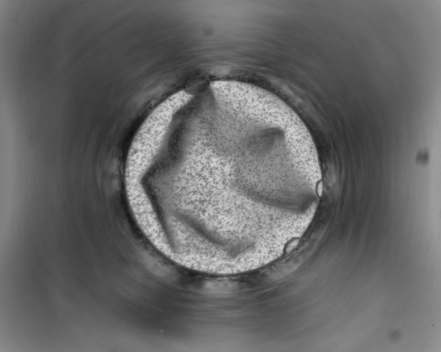 X0000100950470200807221125