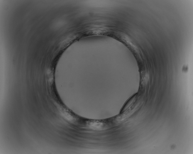 X0000100950471200807221125