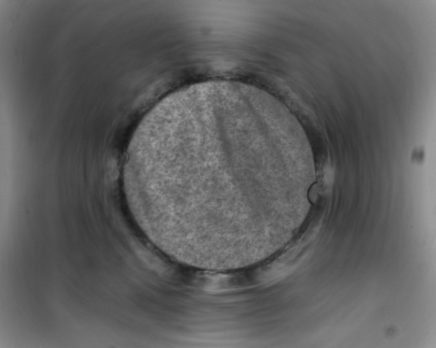 X0000100950472200807221125