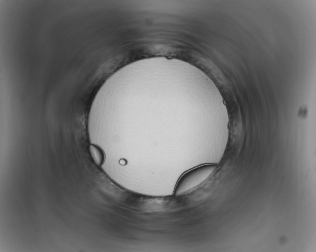 X0000100950473200807221125