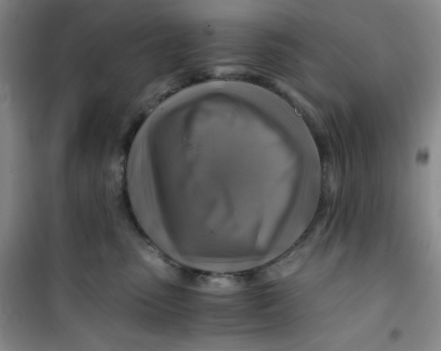 X0000100950475200807221125