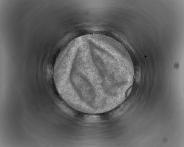 X0000100950476200807221125