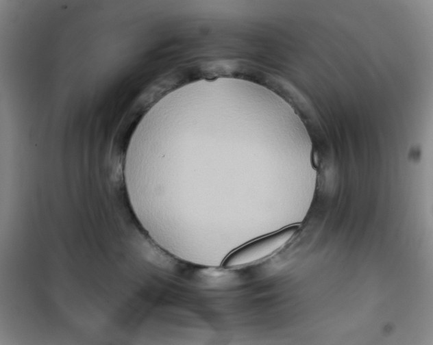 X0000100950477200807221125