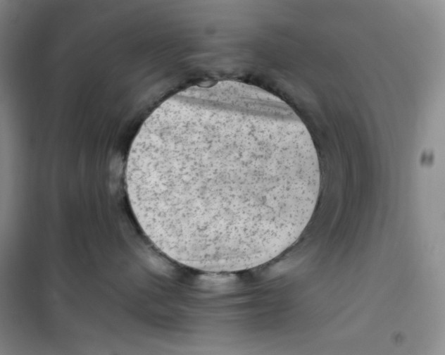 X0000100950480200807221125