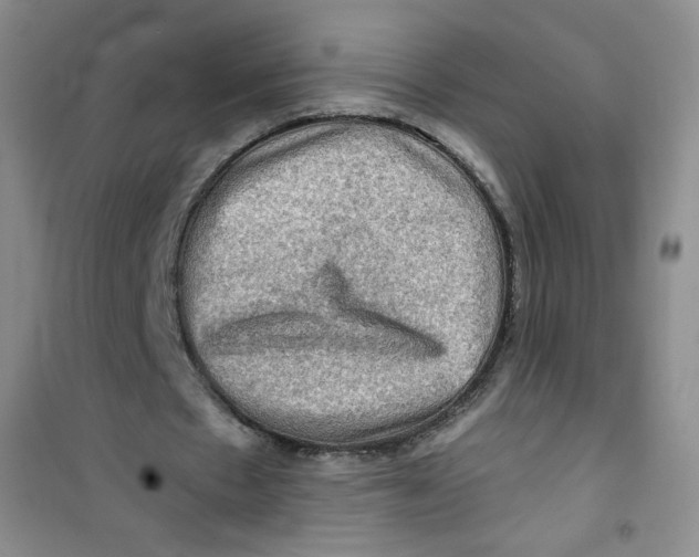 X0000100950481200807221125