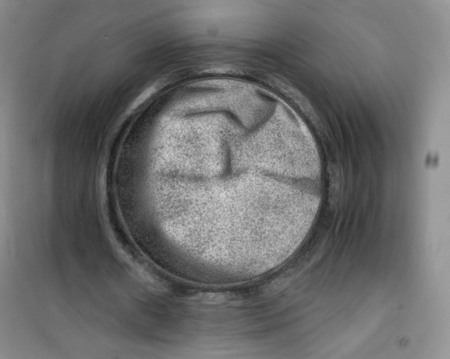 X0000100950482200807221125