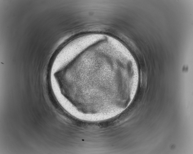 X0000100950483200807221125