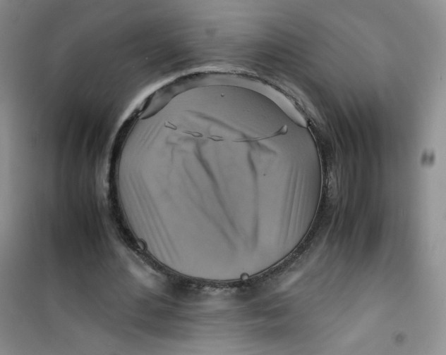 X0000100950484200807221125