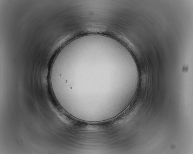 X0000100950490200807221124