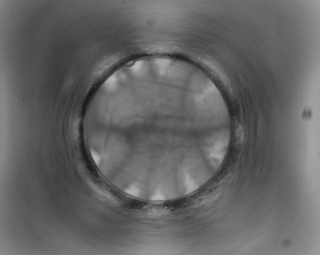 X0000100950491200807221124