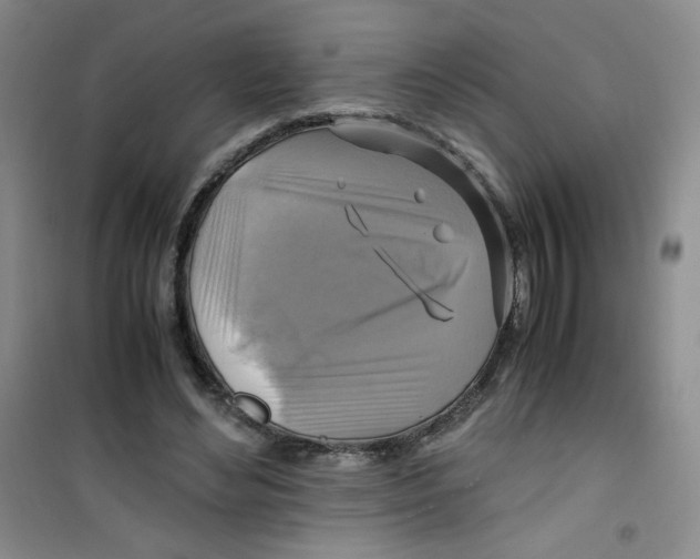 X0000100950492200807221124