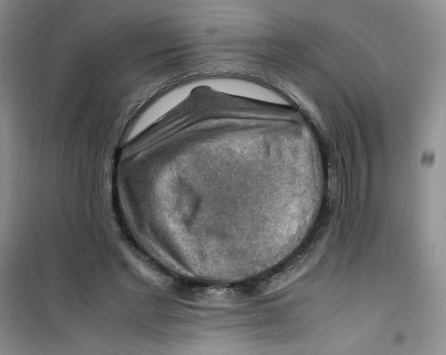 X0000100950493200807221124