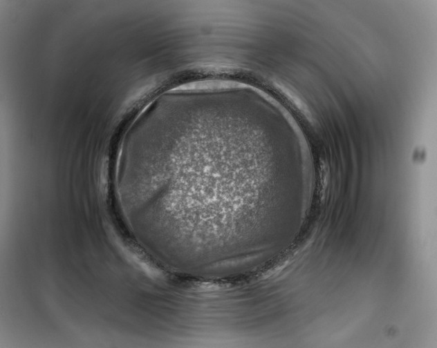 X0000100950494200807221124