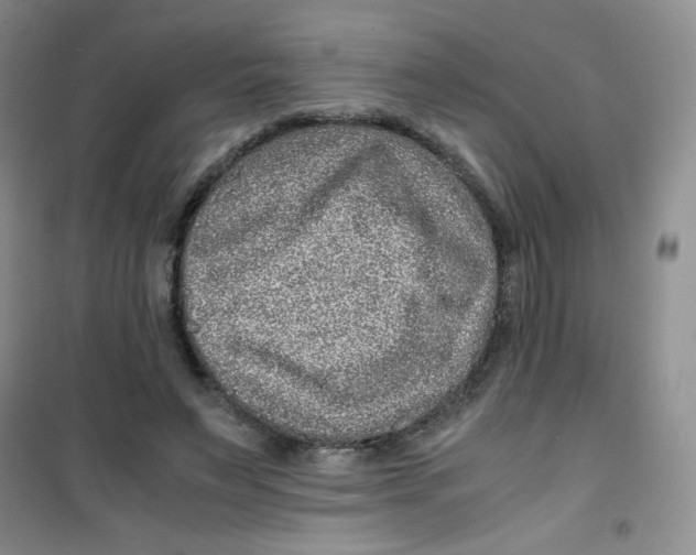 X0000100950495200807221124