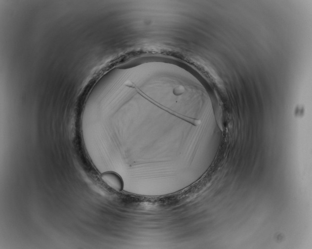 X0000100950496200807221124