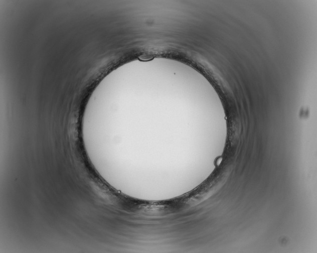 X0000100950497200807221124