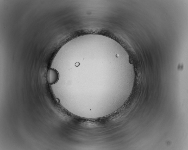 X0000100950498200807221124