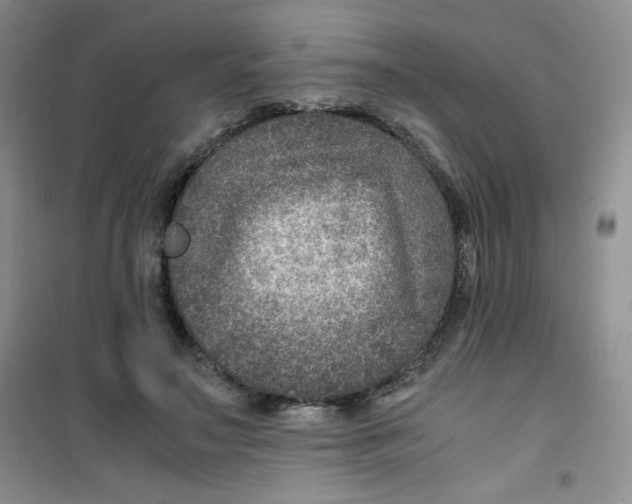 X0000100950499200807221124