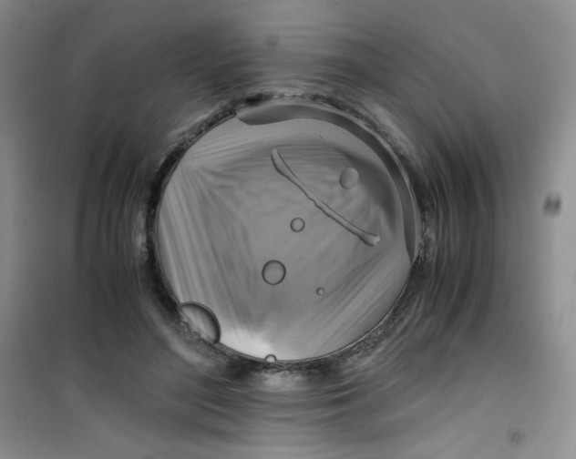 X0000100950500200807221124