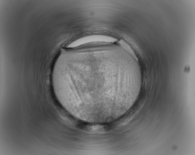 X0000100950501200807221124