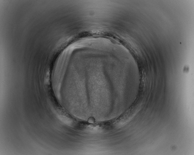 X0000100950502200807221124