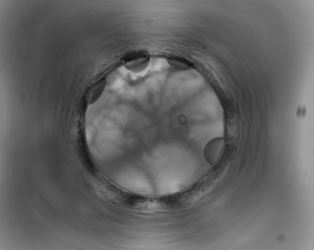 X0000100950503200807221124