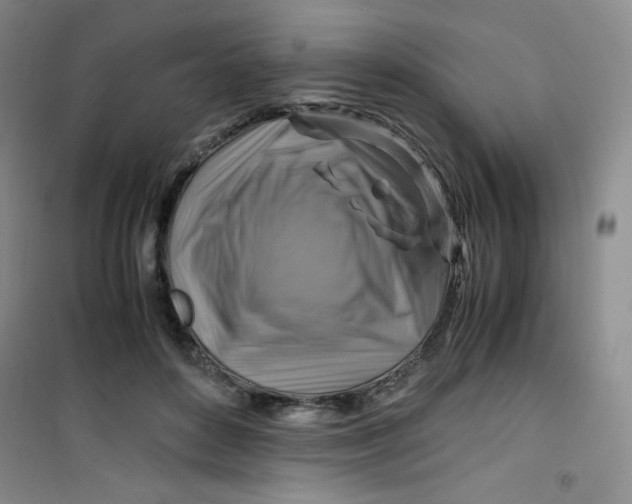 X0000100950504200807221124