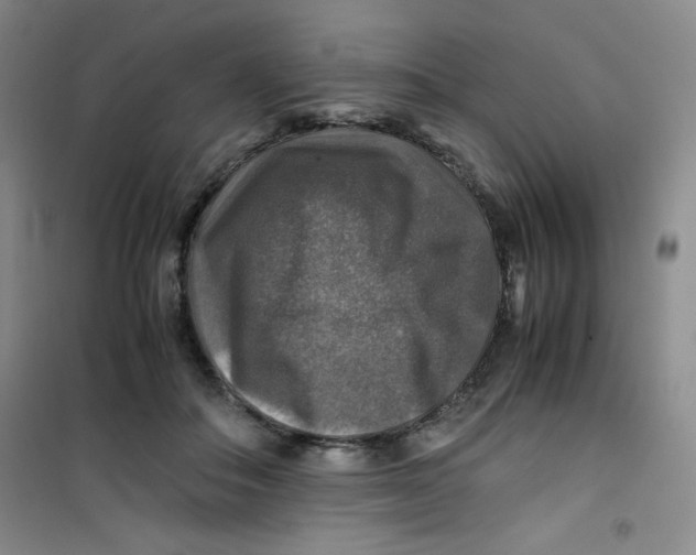 X0000100950506200807221124